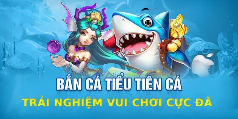 Mẹo chơi bắn cá tiểu tiên cá tại Nohu